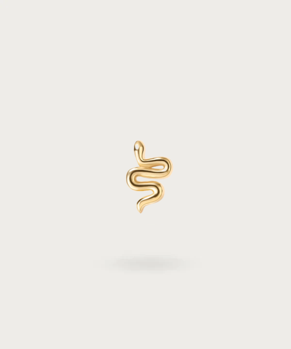 "Piercing Serpent Anti-Helix sur fond blanc"